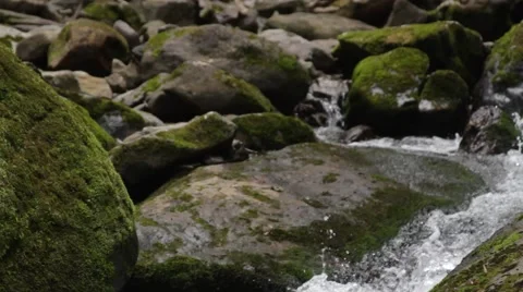 Rushing Water Stock Footage 56456081