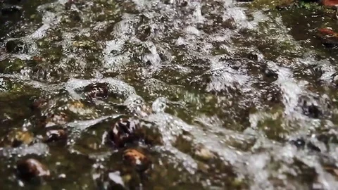 Rushing Water Stock Footage 79226583