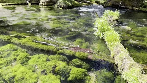 Rushing water Stock Footage 156665001
