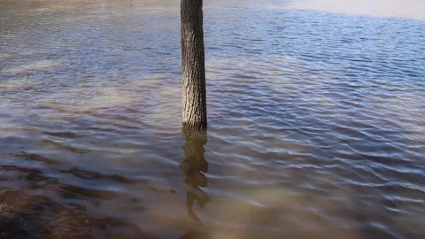 Rushing Water Stock Footage 173221918