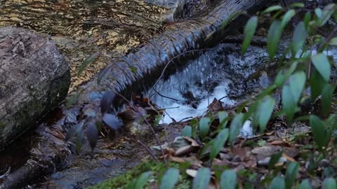 Rushing water 库存影片 240352956