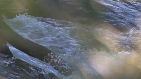 Rushing water Stock Footage 338305328