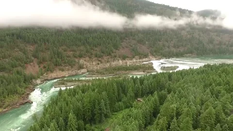 Rushing Water in forest Stock Footage 72718904