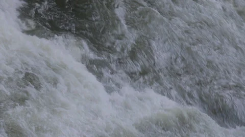 Rushing Water in Forest River 스톡 동영상 219531700