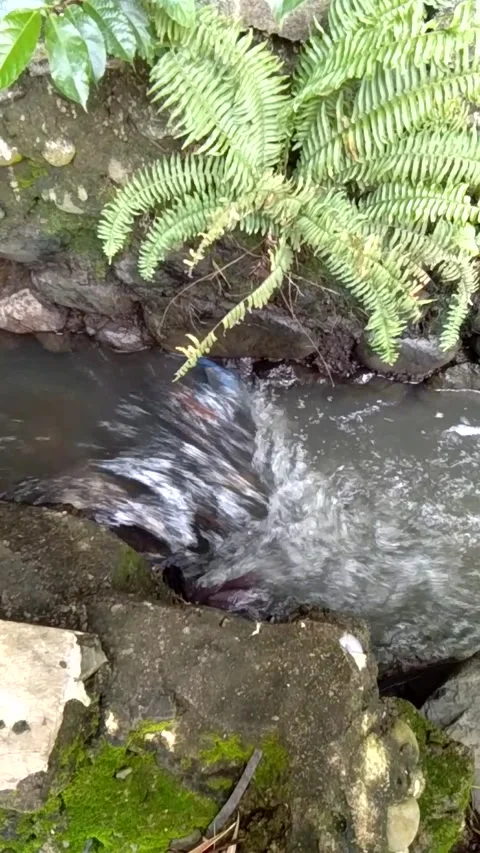 Rushing water in the gutter Video stock 219448355