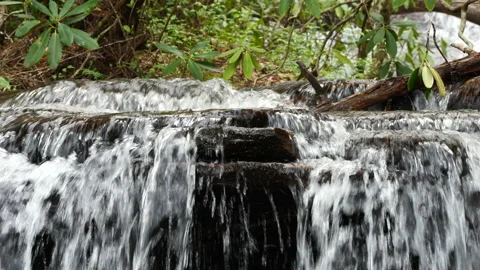Rushing Water Mountain Stream Stock Footage 238543301