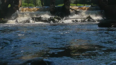 Rushing Water Rapids Stock Footage 199686784