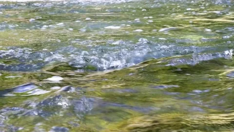 Rushing Water Stream Flowing River Nature Scene. Stock Footage 331944995