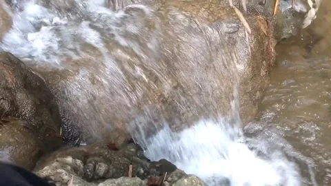 Rushing Water Stream Stock Footage 333157884