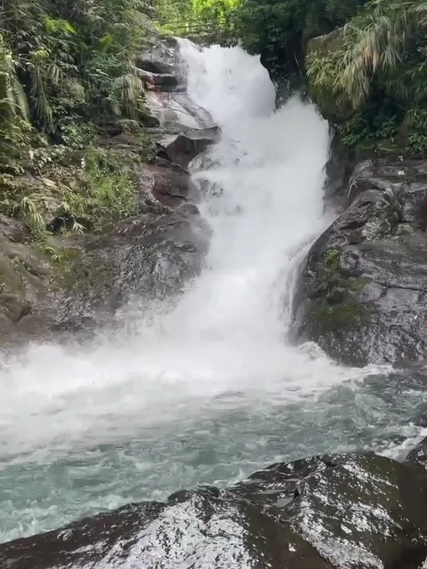 Rushing Waterfall Flowing Over Rocks in Green Forest Vídeos de archivo 342265530