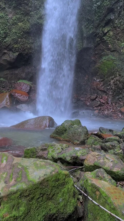 Rushing Waterfall Flows Down Cliff into Pool, Mossy Rocks, Vertical Pan Up Stock Footage 321104173