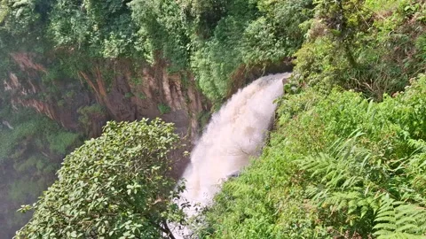 A rushing waterfall flows in the forest Video stock 278161750