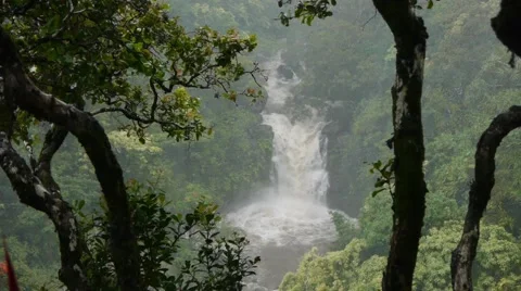 Rushing Waterfall In Hawaii Stock Footage 46559906