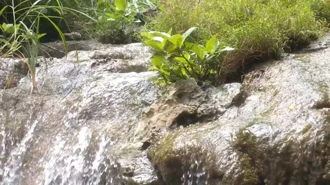 Rushing Waterfall over Rocks Stock Footage 331786288