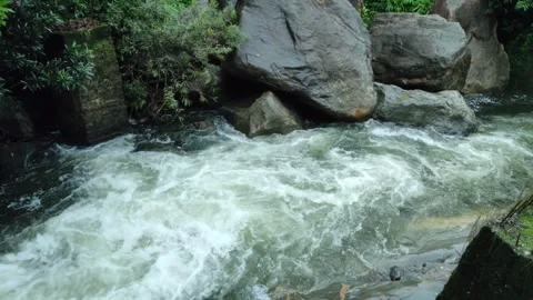 Rushing Waterfalls Flowing Through Rocks and Greenery in Nature, Meenvallam.. Stock Footage 310096068