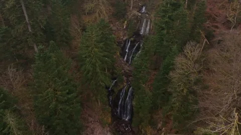 Rushing waters carving through stone in the Vosges France Stock Footage 306794650