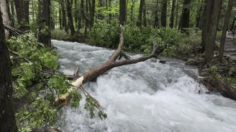 Rushing White Stream Stock Footage 331239404