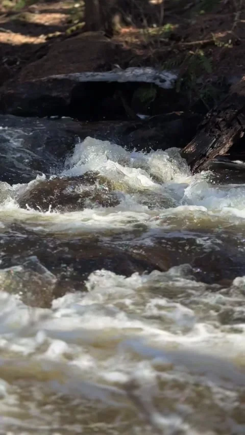 Rushing Whitewater Rapids in Forest Stream Over Rocks Stock Footage 346503081