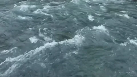 Rushing Wild River Stream with White Water Foam 스톡 동영상 335186022