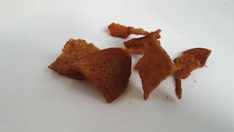Rusks, rye on a white background fall, slow-motion Video stock 87987219
