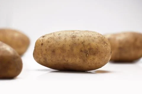 Russet Baking Potatoes assorted on white background Photos