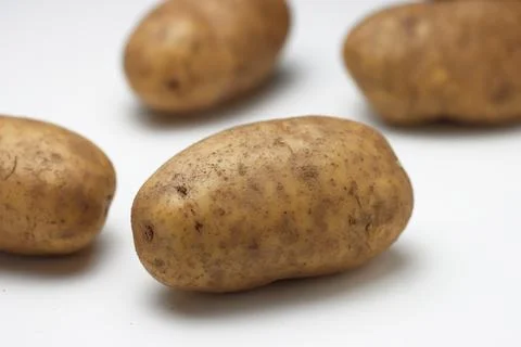 Russet Baking Potatoes assorted on white background Photos