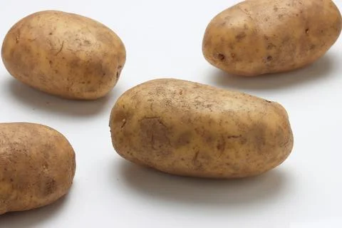Russet Baking Potatoes assorted on white background Photos
