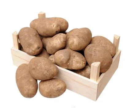 Russet potato Stock Photos