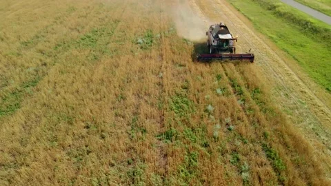 Russia, Chuvashia, July 22, 2021: Aerial drone view. Overloading grain from Stock Footage 160597053