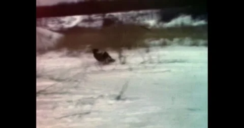 Russia - circa 1970s: Soviet boy sledding down a snowy hill Video stock 328114899