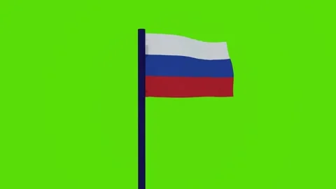 Russia flag 스톡 동영상 255419206