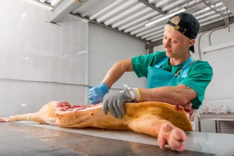 Russia - July, 2016: : Man processing pork Stock Photos