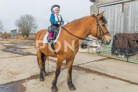 Russia, Leningrad region, Nikolskoye March 25, 2017-at the stable horse ridin Stock Photos