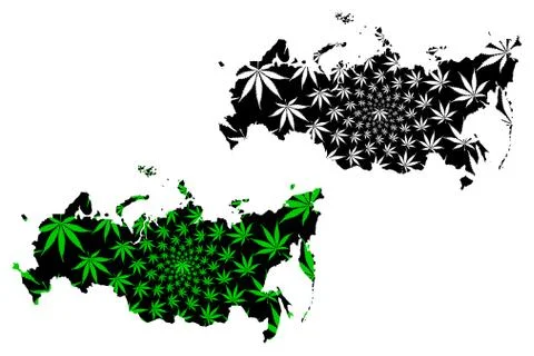 Russia - map is designed cannabis leaf Stock Illustration