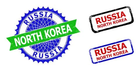 RUSSIA NORTH KOREA Rosette and Rectangle Bicolor Badges with Scratched Textur イラスト素材