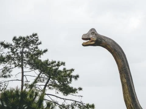 Russia, Sochi 14.03.2020. Dinosaur brachiosaurus statue head with a long neck Stock Photos