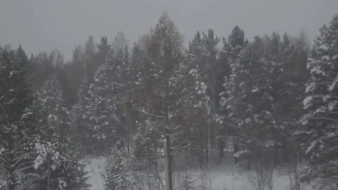 Russia train window point of view winter Stock Footage 86903870