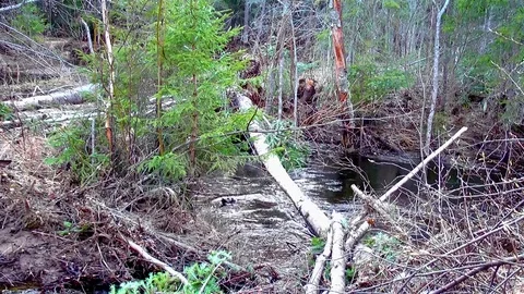 Russia Ural. Vidéo 82317441