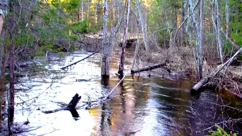 Russia Ural Vidéo 82317481