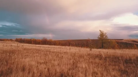 Russia. Video lone tree at sunset, cloudy sky, rainbow, field with rainbow Stock Footage 276236207