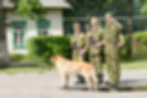 Russian army theme blur background Stock Photos