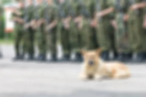 Russian army theme blur background Stock Photos