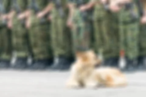 Russian army theme blur background Stock Photos