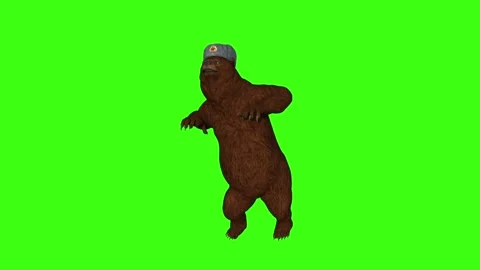 Russian bear dancing ,animation,green background 스톡 동영상 165903245