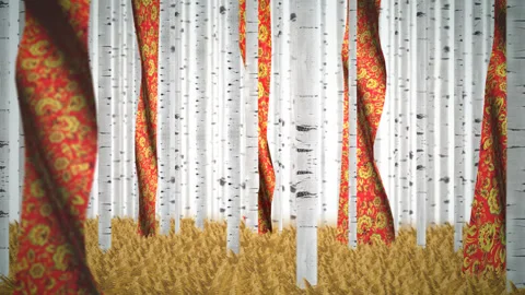 Russian Birch Tree whith a flag 1920x1080 29fps VJ Loop LIMEART Stock Footage 100126729