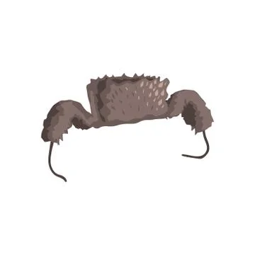 Russian Cap With Ear Flaps Stock Illustration