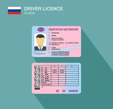 Russian car driver license identification. Vector illustration. Russia. Stock Illustration