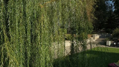 Russian Church St. Nikolas Sofia View Park Stock Footage 117598509