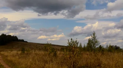 Russian Field autumn clouds and forest on horizon Stock Footage 54090198