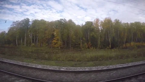 Russian Fields, Birch Trees, Trans Siberian Railway, Rolling Landscape Stock Footage 81772134